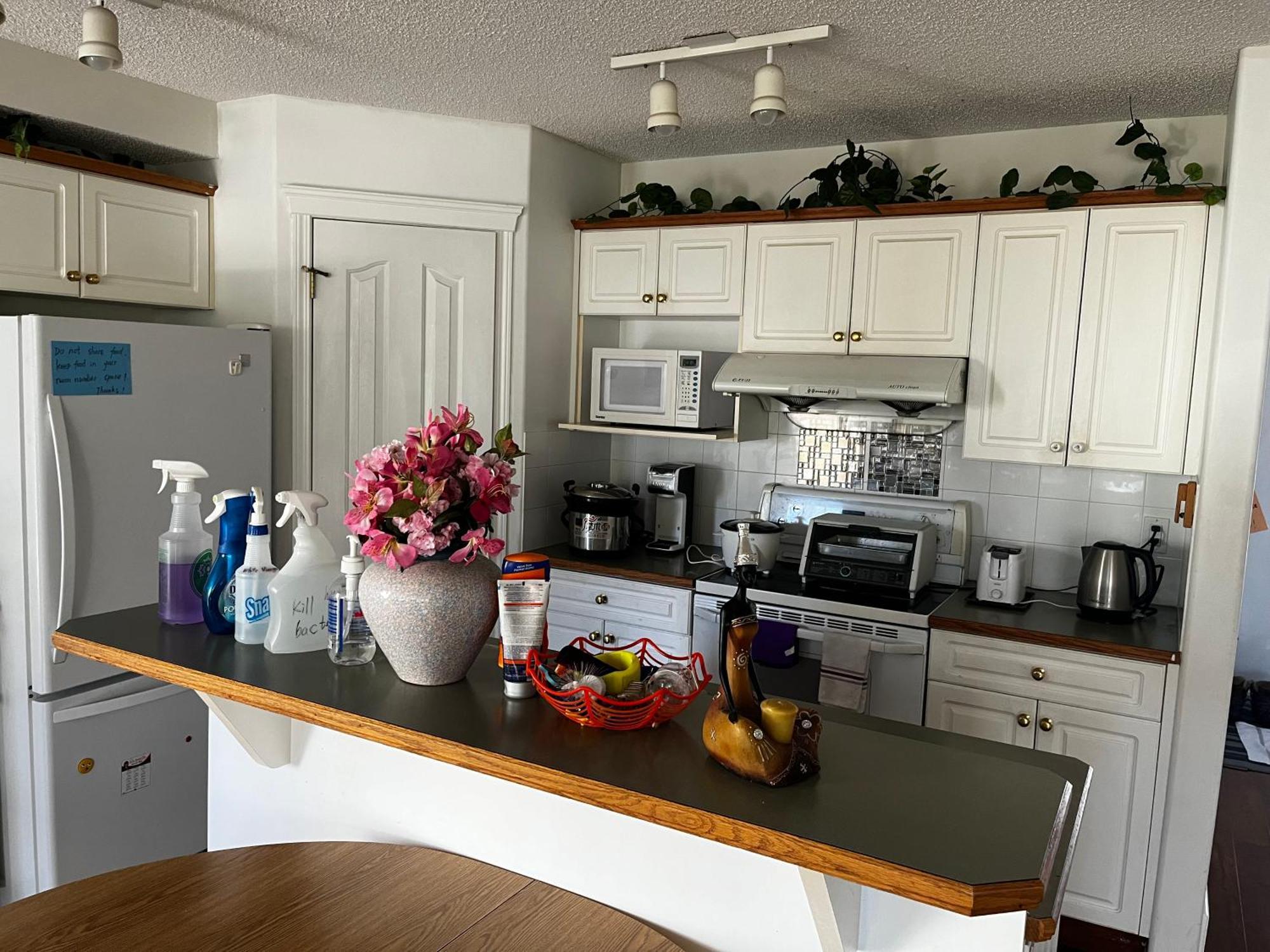 Hidden Valley New Basement Suite With Private Bathroom! 卡加利 外观 照片